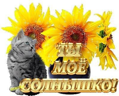 Открытки мой золотой, анимация